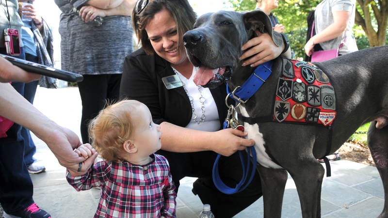 A contingent from the USO of Missouri including Bandit the Therapy Dog mingles after laying a wreath at Arlington National Cemetery's Tomb of the Unknown Soldier on Oct. 3.