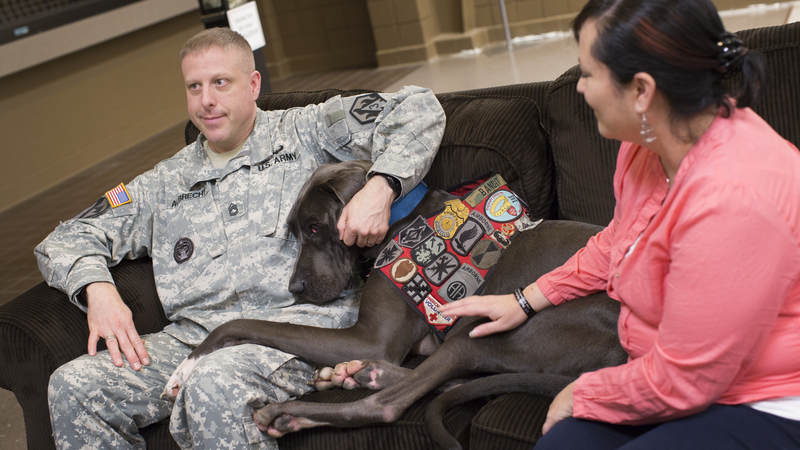 Bandit visits with a military family.