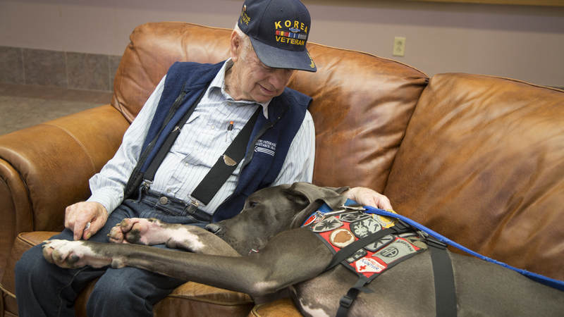 Bandit visits with a veteran.