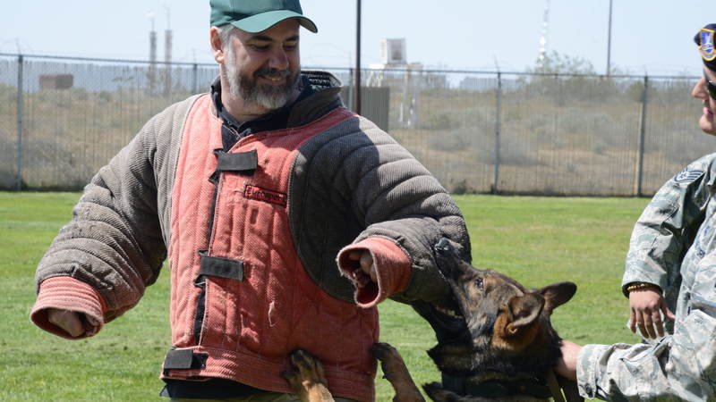 "Bosch" Executive Producer Henrik Bastin participates in a Military Working Dog demonstration during a USO tour to Edwards Air Force Base in California on April 10.